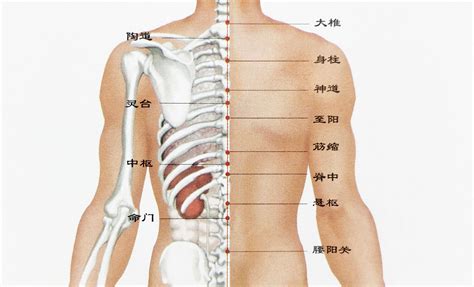 尾椎有痣|有痣在背，长寿富贵！背上各部位痣相命理详解